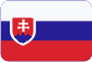 Plynostav Pardubice holding a.s Slovensky